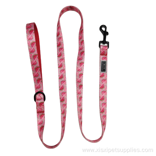 Free Design Eco-friendly Soft Dog collars